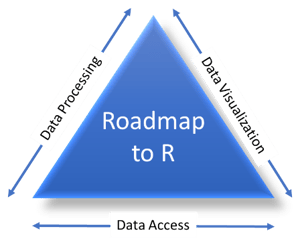 d-wise Roadmap to R