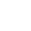 audit_white