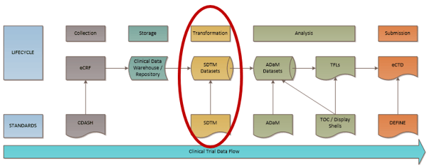 SDTM